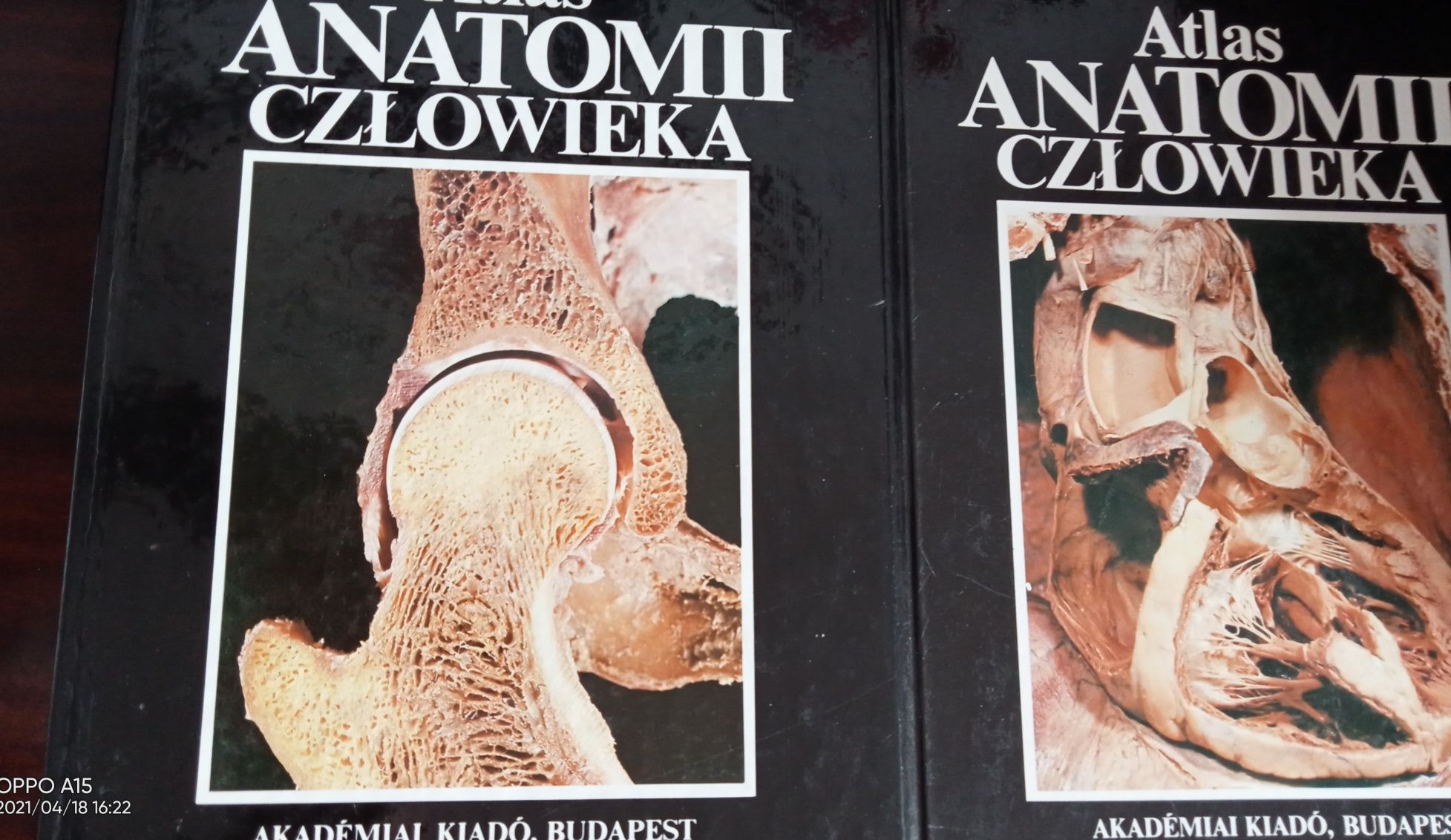 Atlas anatomii człowieka