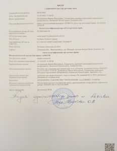 Будинок та гараж с-ще Немирів, вул. Західні Вали, 12а