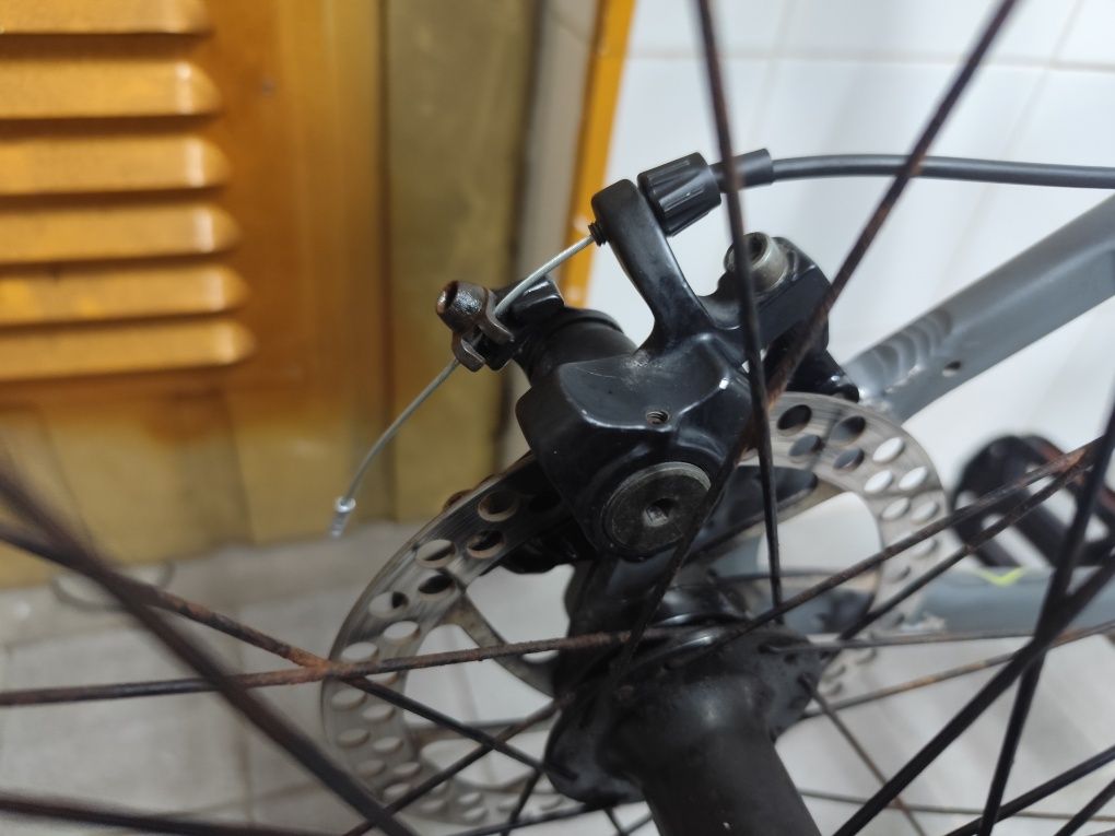 Berg trailrock  29"