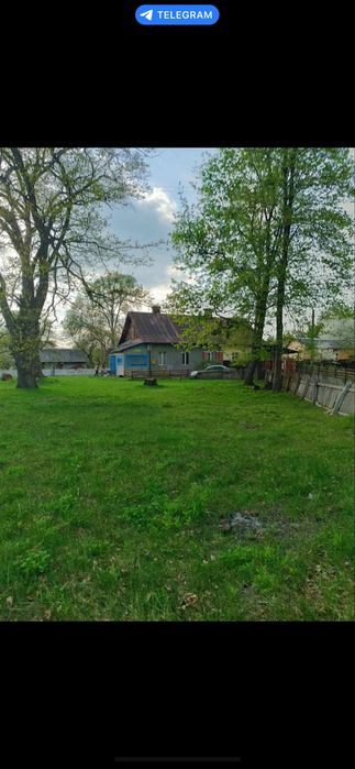 Квартира (будинок)