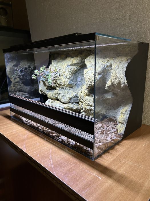 Тераріум для рептилій, членостоногих з декором