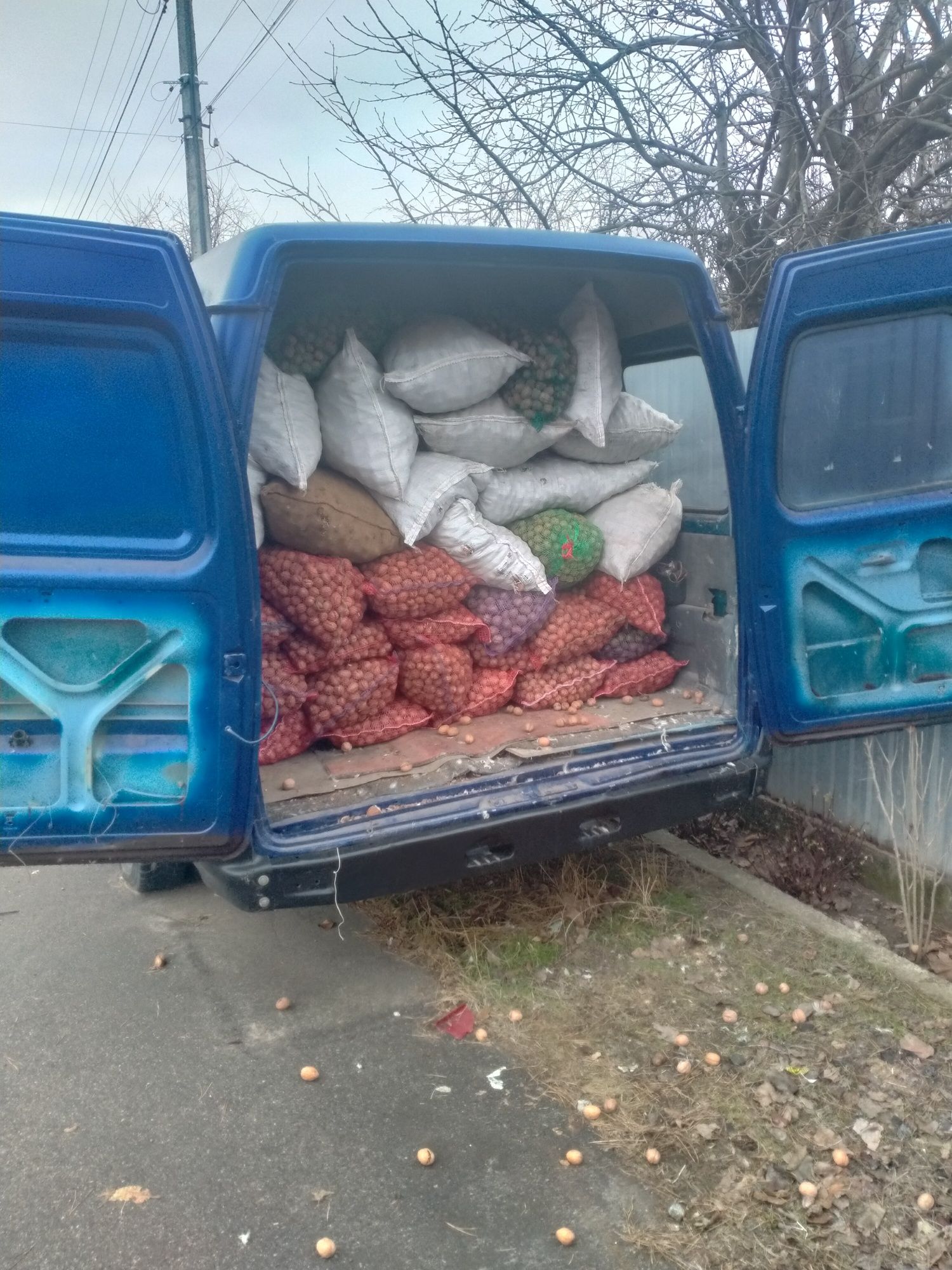 горіхи в шкарлупі недорого