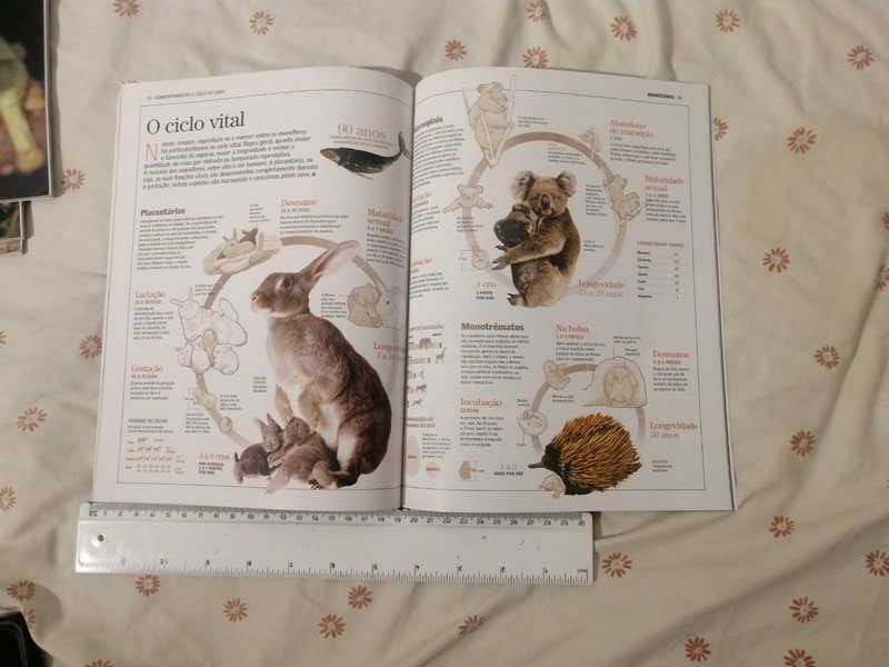 Enciclopédias de animais