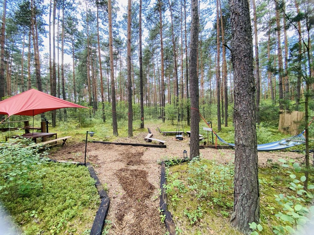 Las, zalew i ognisko – kameralny camping offline