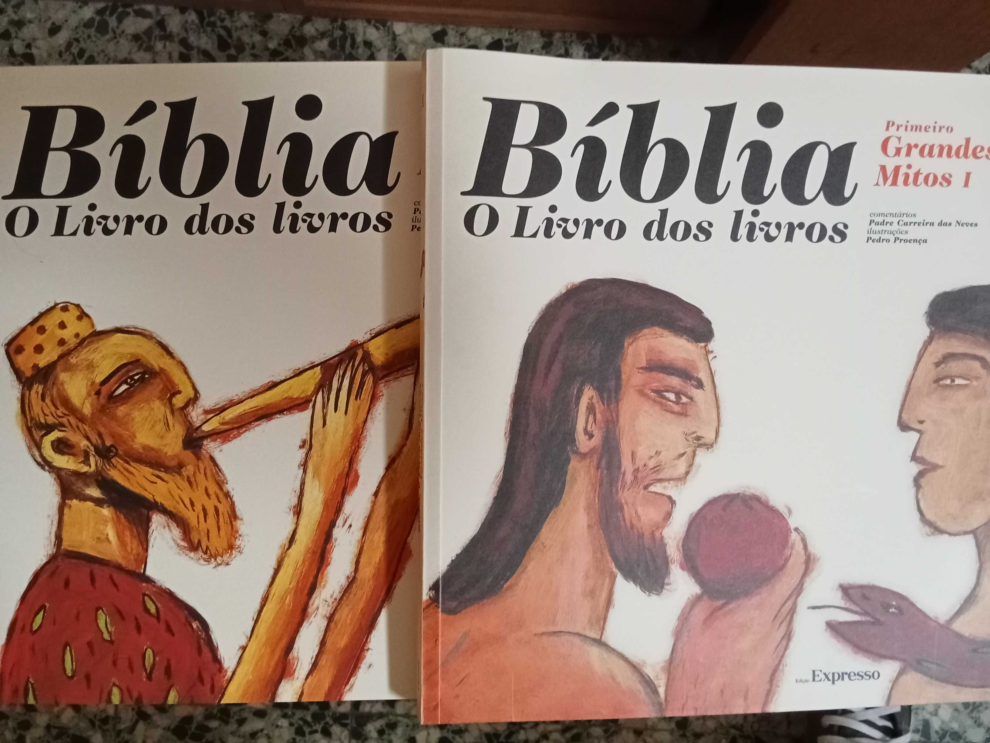 Bíblia, o Livro dos Livros [Col. Expresso]
