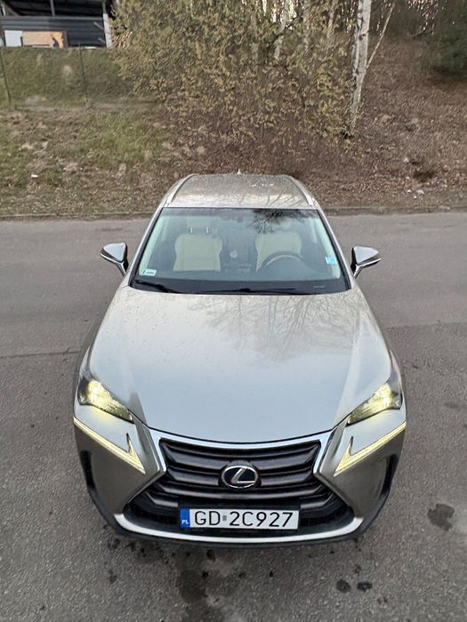 Lexus NX Lexus nx 300h