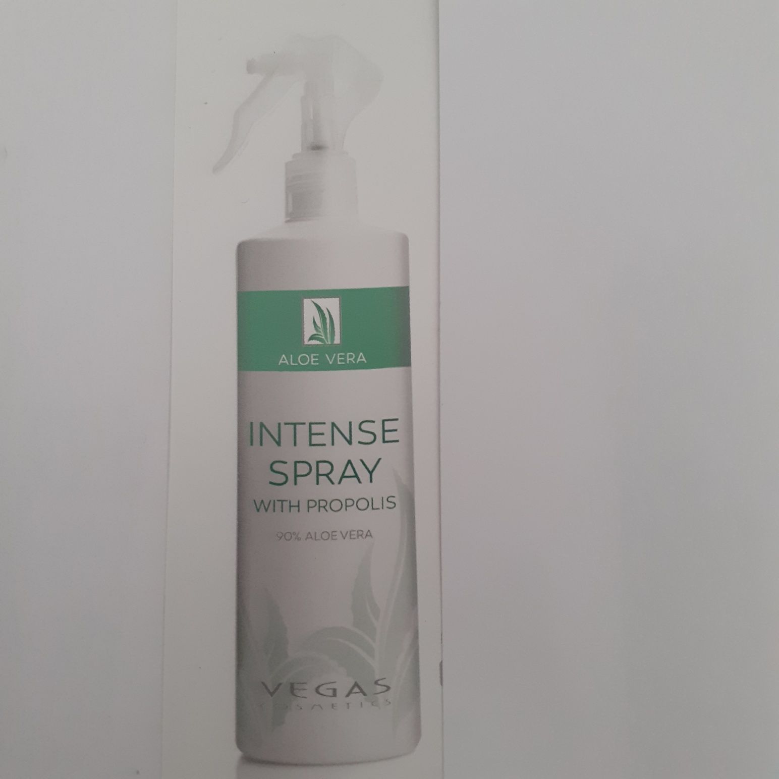 Spray Intensivo  ALOE VERA