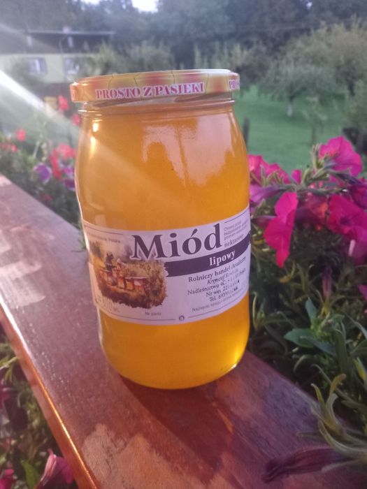 Miód lipowy tegoroczny