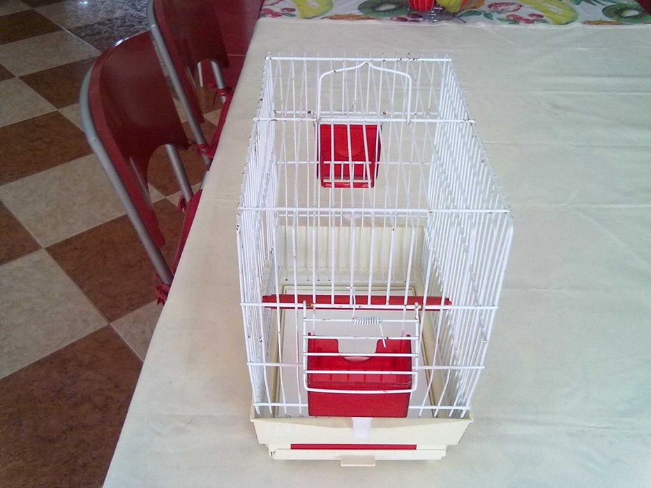 Gaiola para aves de canto