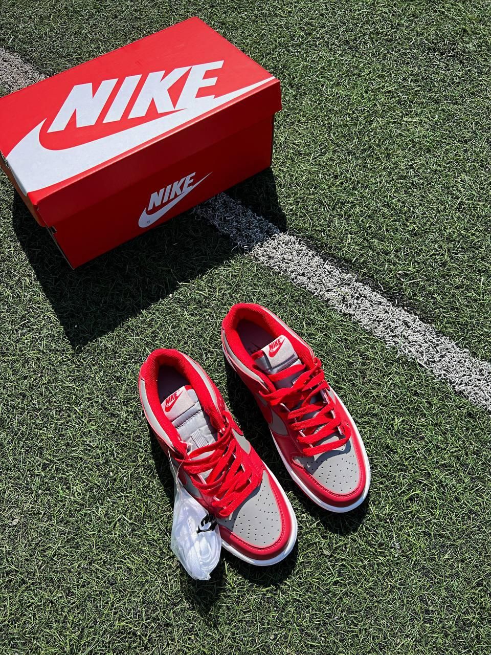 Кроссовки Nike SB Dunk Low Retro Medium Grey Red v2