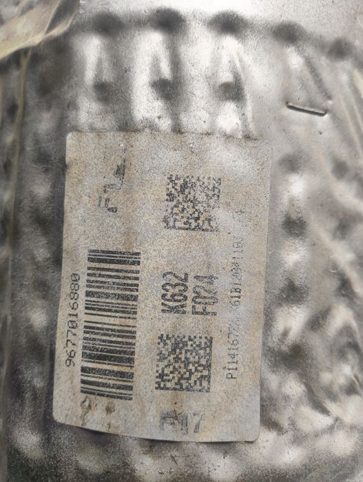 Filtro partículas citroen/Peugeot