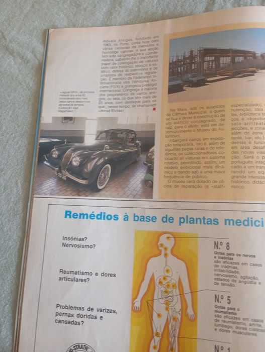 Interessante artigo sobre carros clássicos