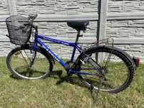 Rower Magnum Special 18 speed