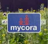 Суміш сидератів Mycora