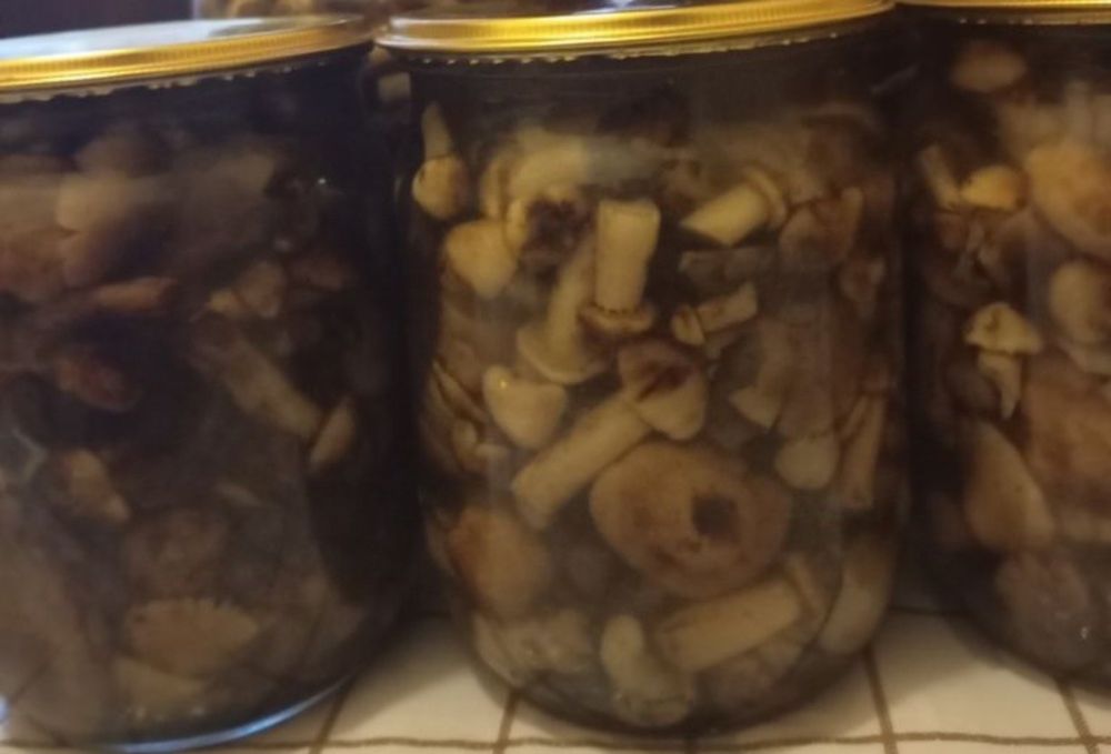 мариновані опеньки