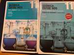 Manual + Caderno de Atividades "Química entre nós 11º"