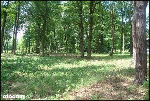 JÓZEFÓW k. OTWOCKA: działka pod 2 domy z WZ