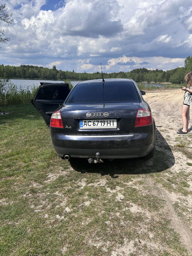 Ауді А4 2003 рік Волинська область