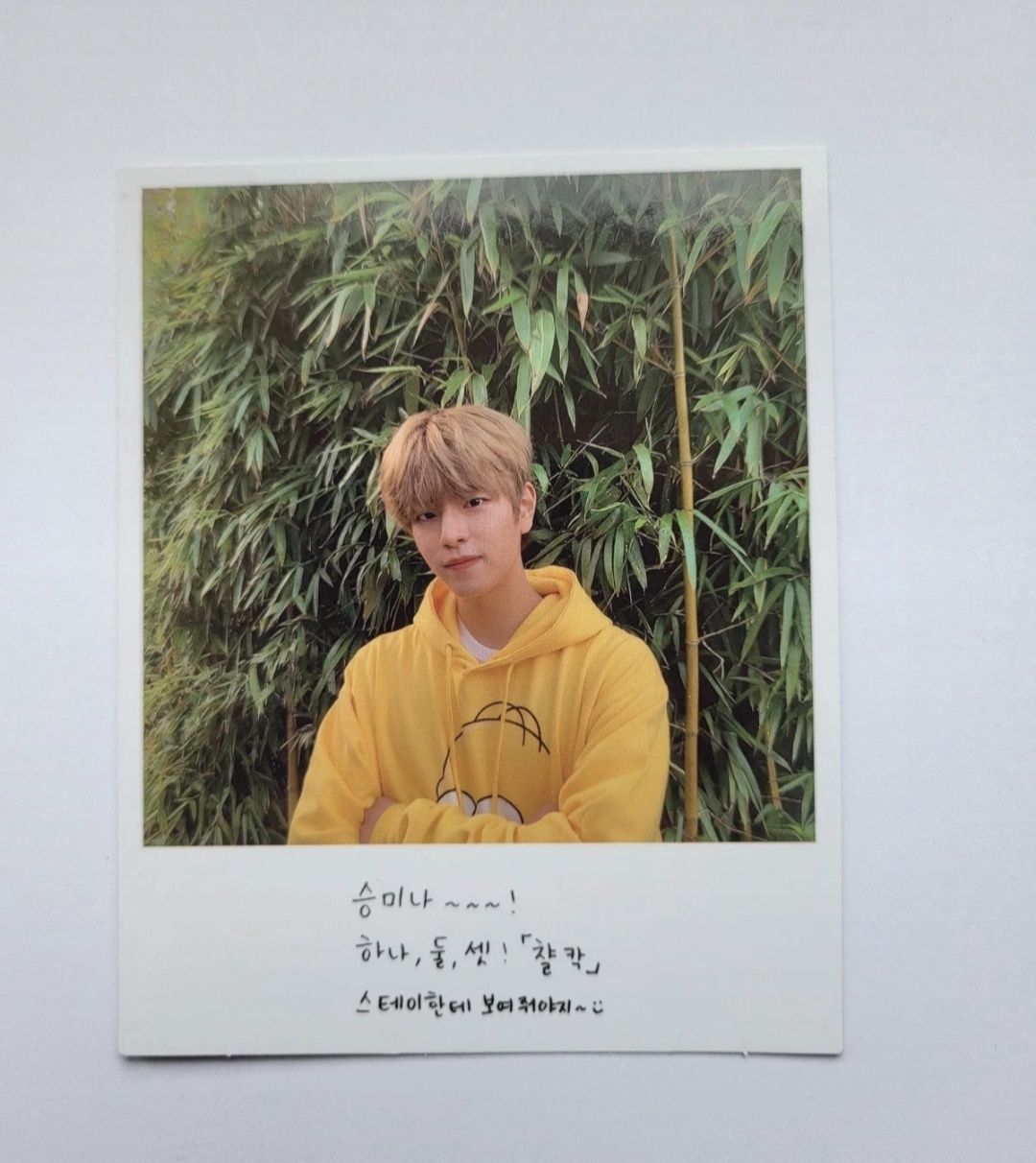 Stray Kids Seungmin photocard karta polaroid go live