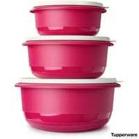 Набір замісочних блюд Профі» Tupperware з захисною кришкою