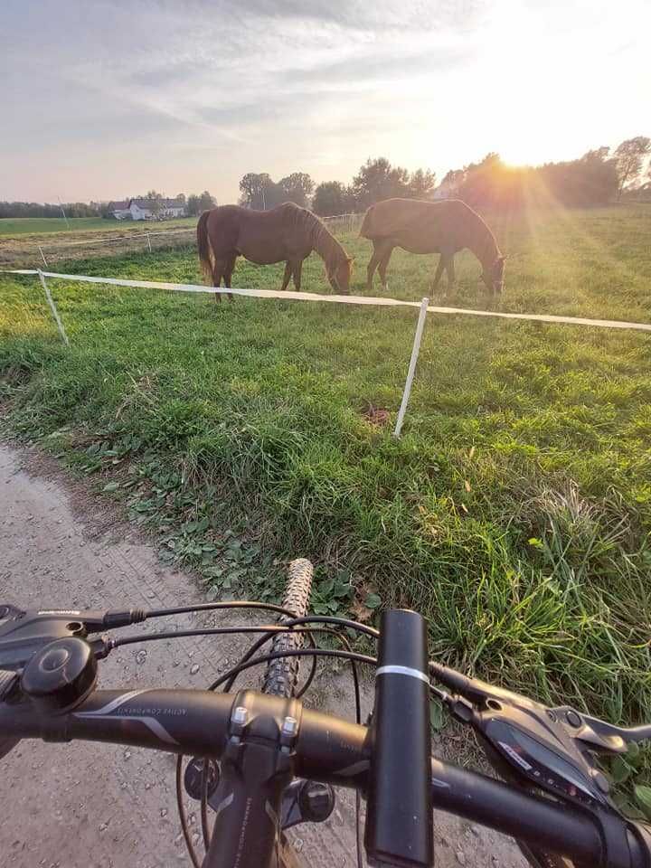 Ranczo u Wróbla Słupnica 58 k/Iławy