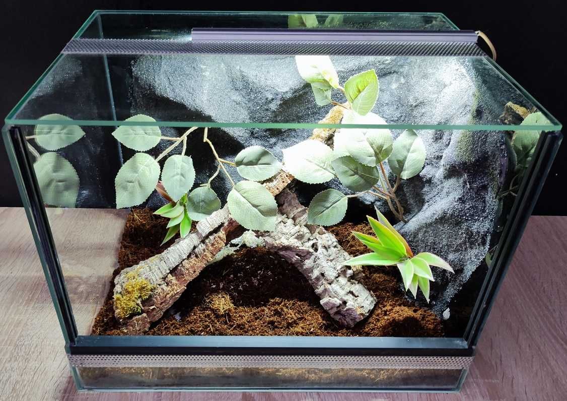 Terrarium szklane nr36 40/30/30 dla pająka ptasznika DOSTĘPNE