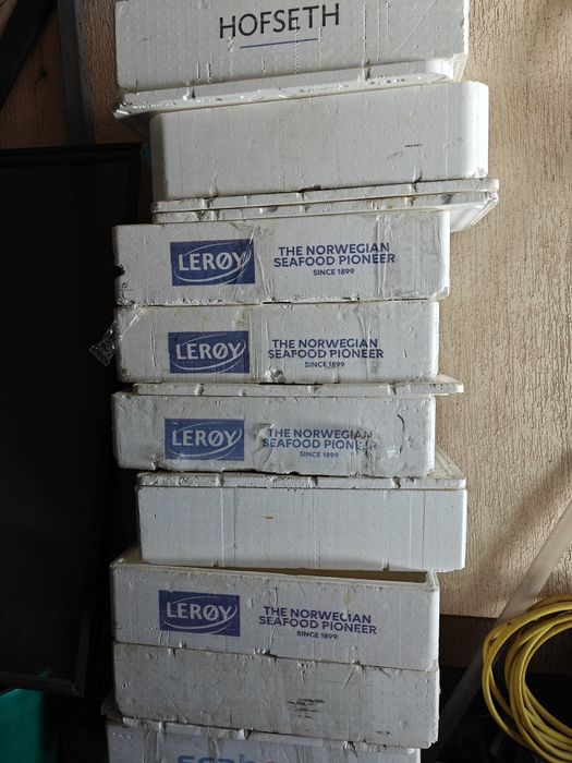 Пінопластові ящики