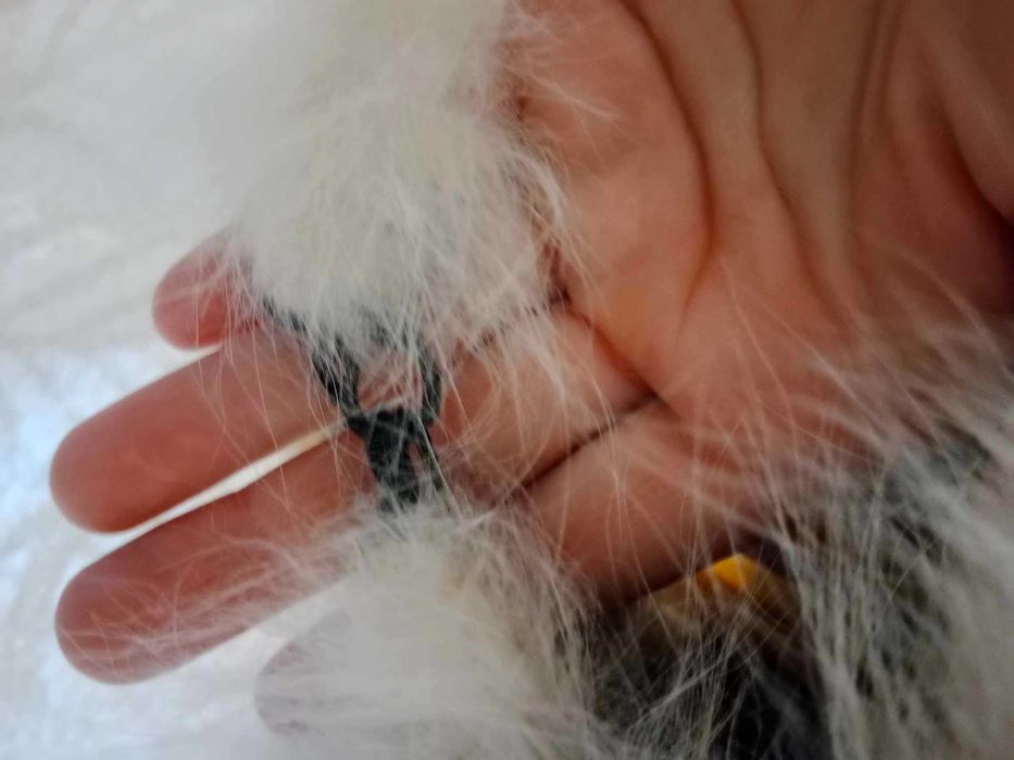 Jasna czapka ze sztucznego włosia