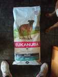 Karma eukanuba boxera 12kg nowa