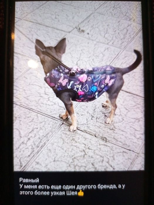 Теплий жилет  для лет