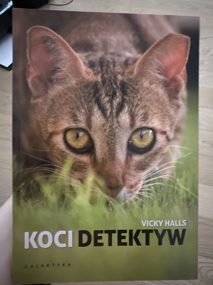 Książka koci detektyw