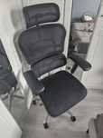 Fotel Ergohuman Plus Elite BT KMD31