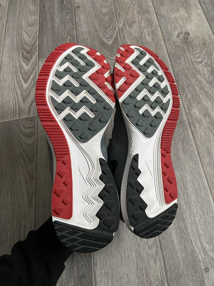 Кросівки Nike Zoom Winflo, сірі