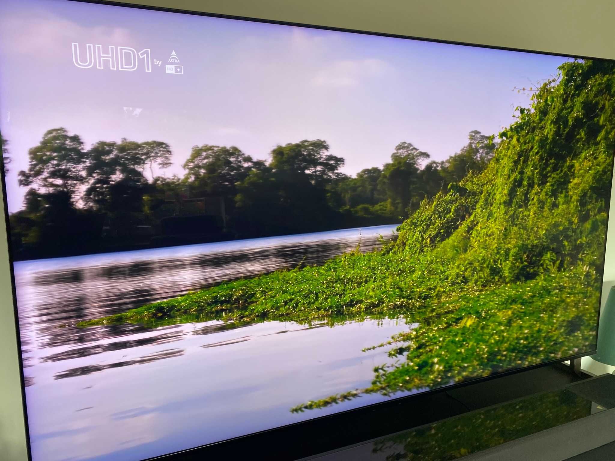 Sprzedam TV Sony 65" XR65X95K z gwarancją do XI'2027