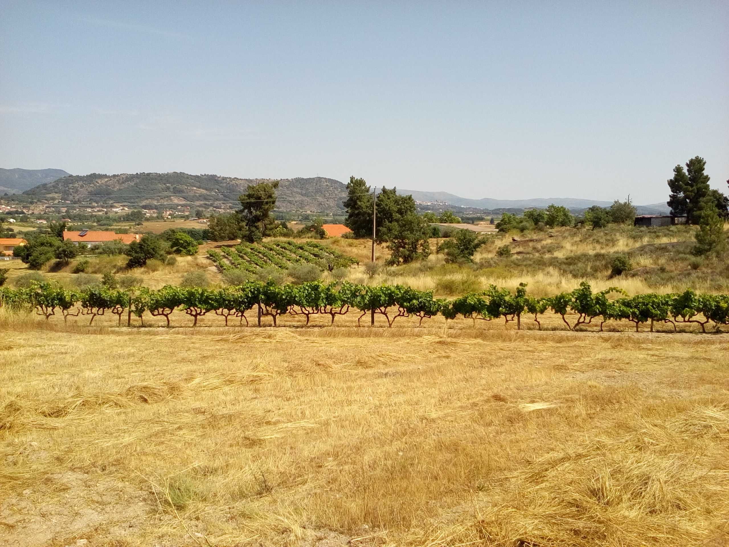 Terreno em Caria
