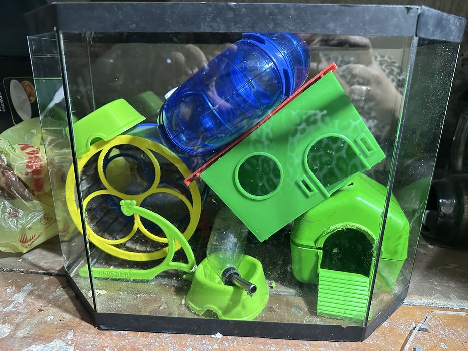 Акваріум 20 л підходить також для хомячка