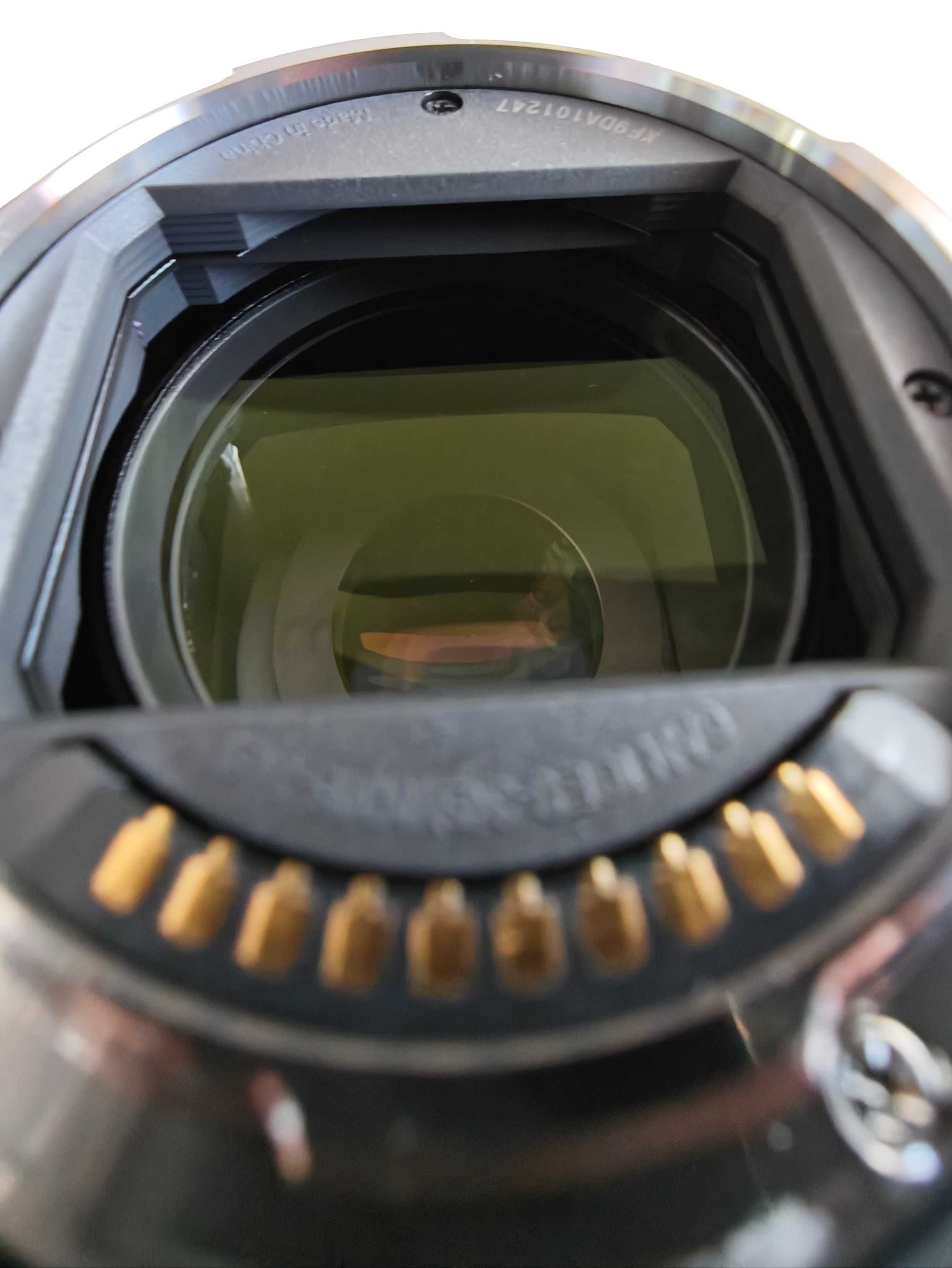Panasonic LUMIX S 24-105 mm f4 MACRO O.I.S