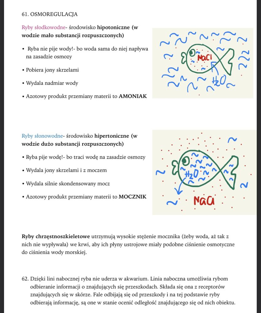 Notatki PDF biologia, chemia, polski do matury