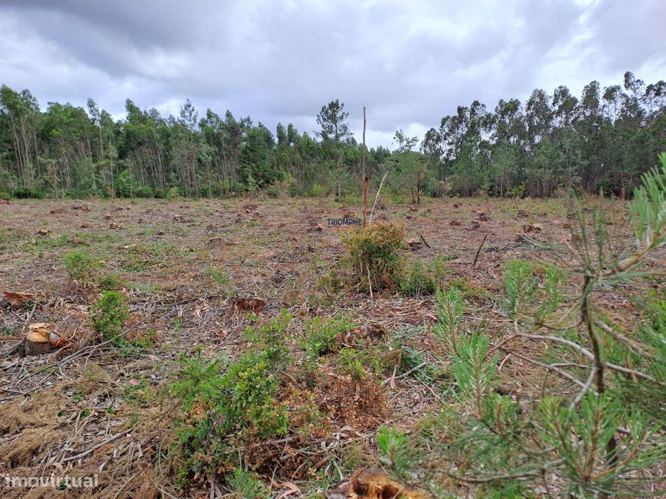 Terreno viabilidade construção Hotel Rural São Martinho do Porto