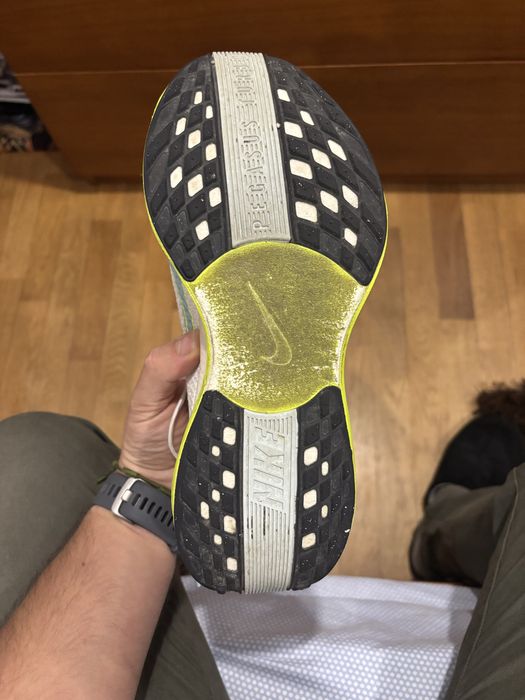 Nike Pegasus Plus 40.5