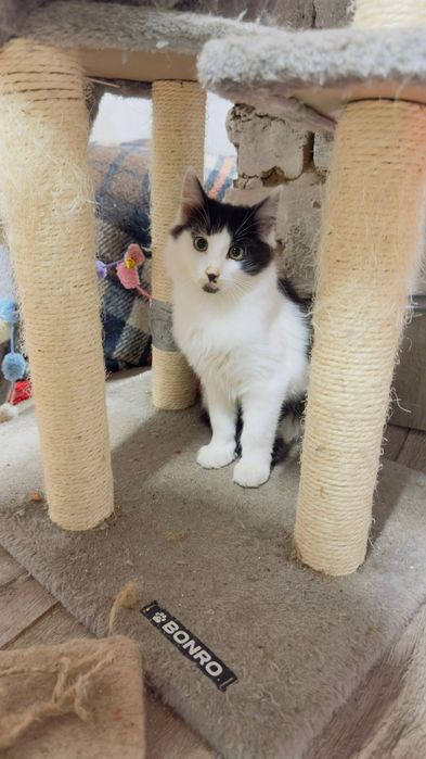 Хлопчик шукає дім