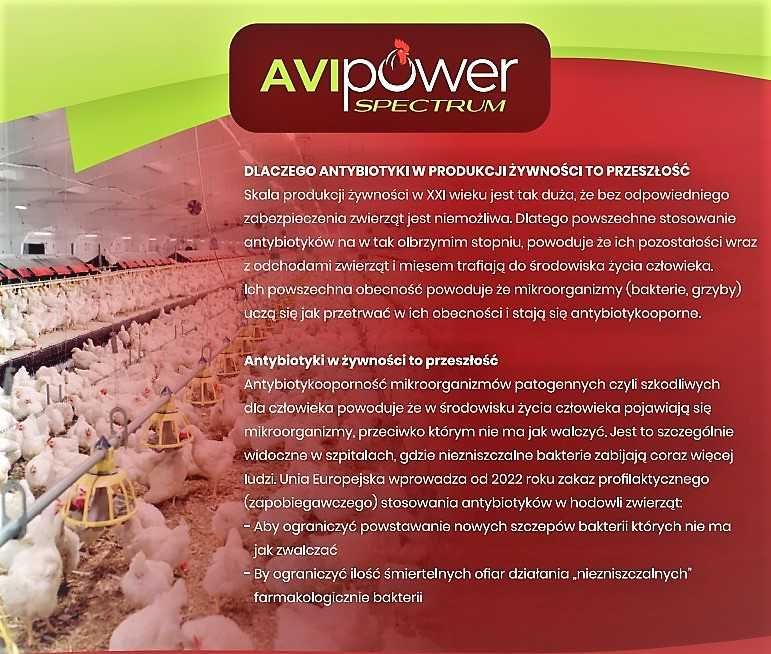 AviPower SPECTRUM FITOBIOTYK dla kur i brojlerów 1L 2084