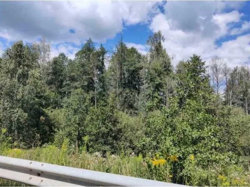 Земельна ділянка (5,0 га) - с. Березівка Житомирської обл.