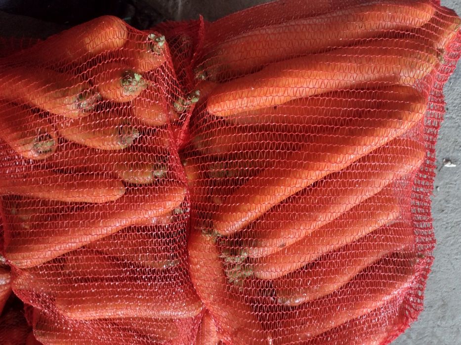 Marchew gruba. Odpadowa