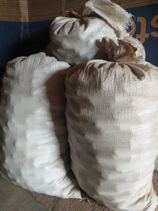 Насіннєва картопля