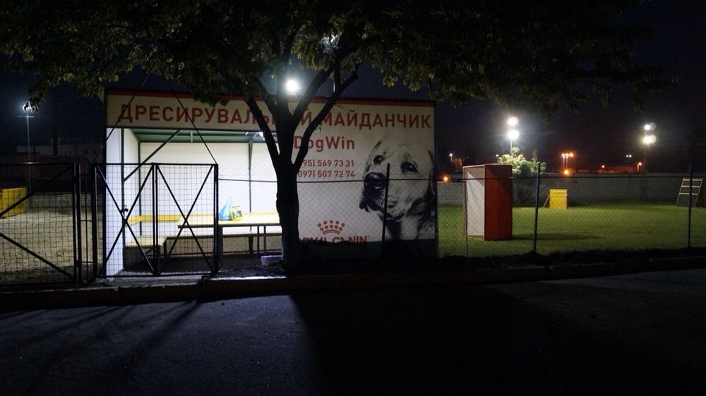 Клуб DogWin Площадка закрытая оборудованая Киев Дрессировка собак