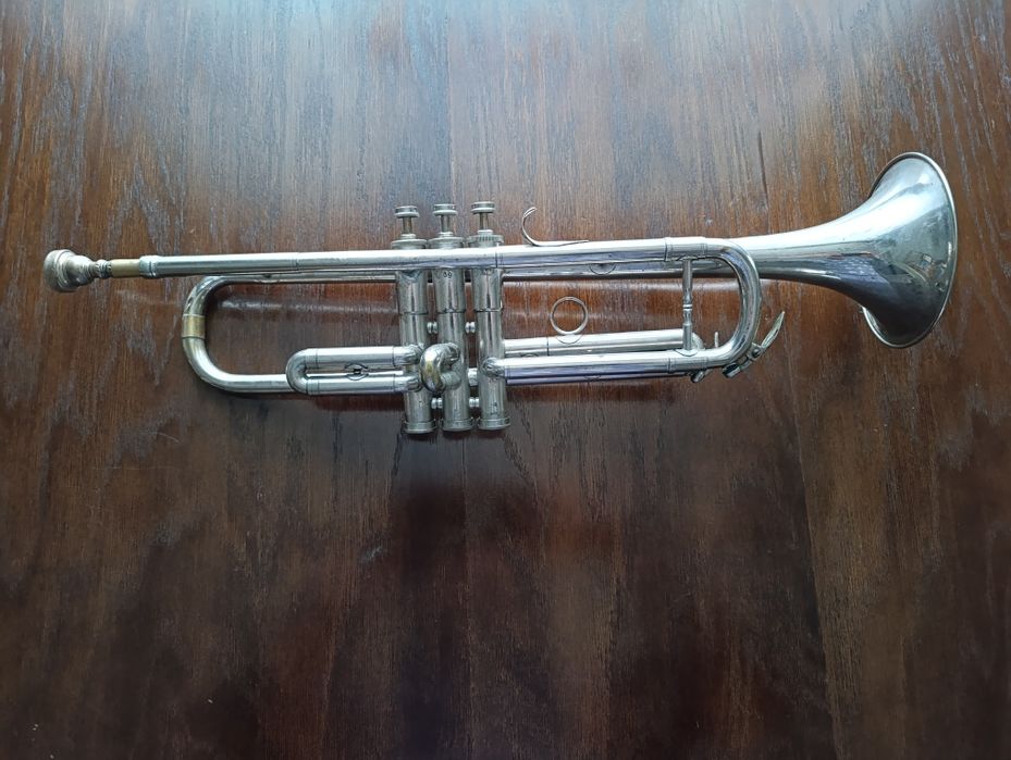 Труба музична біла