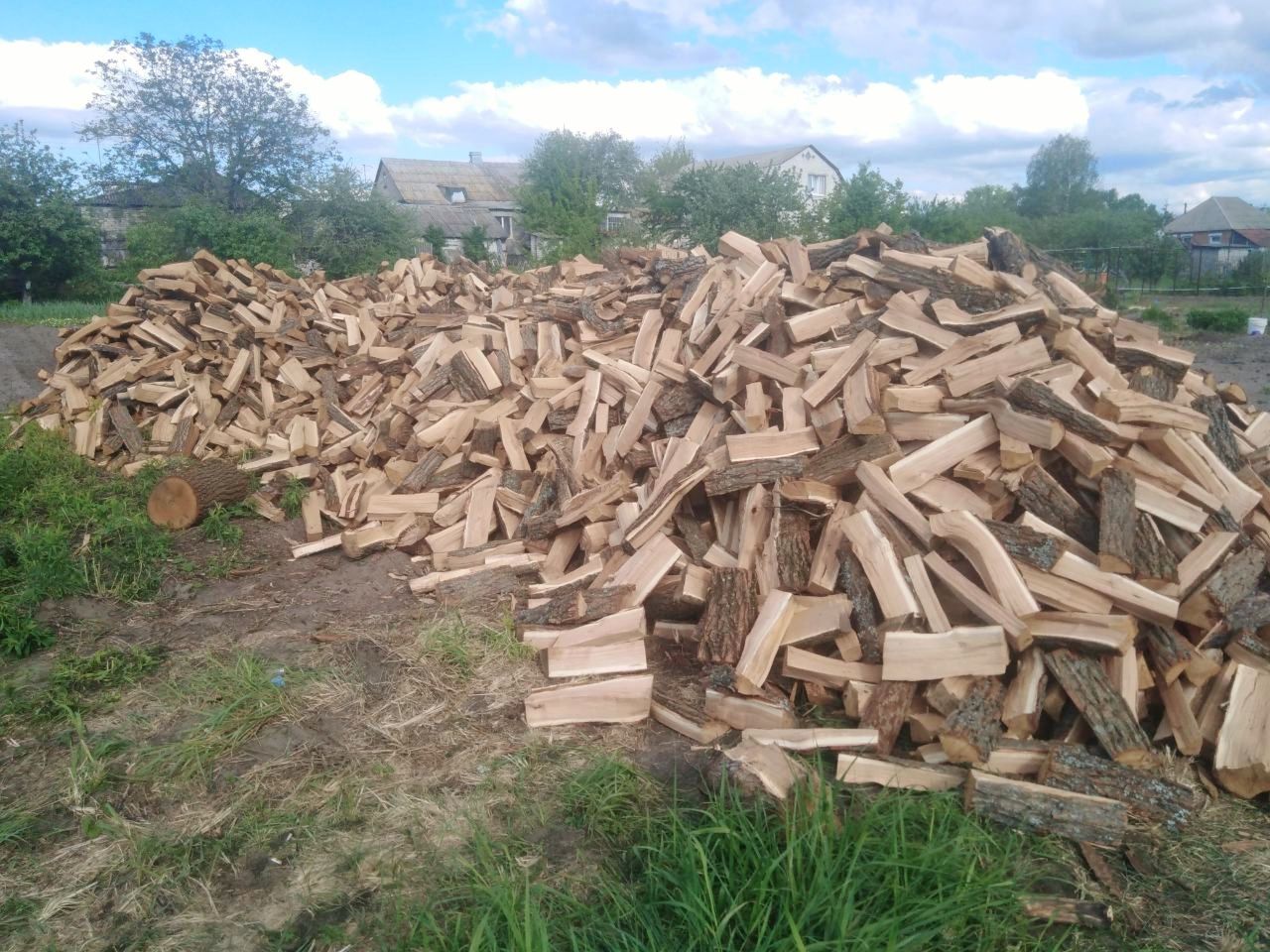 Сухие дубовые колотые дрова 1500 грн куб