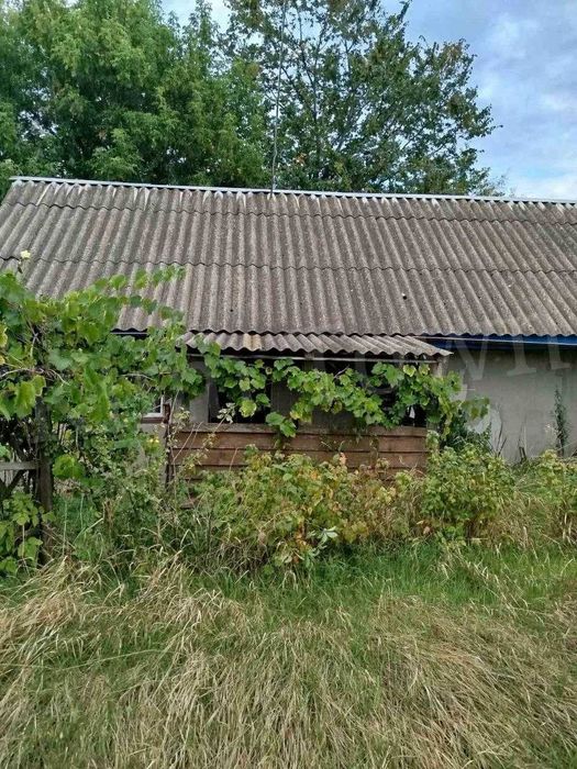 Продаж будинку в с. Хоцьки