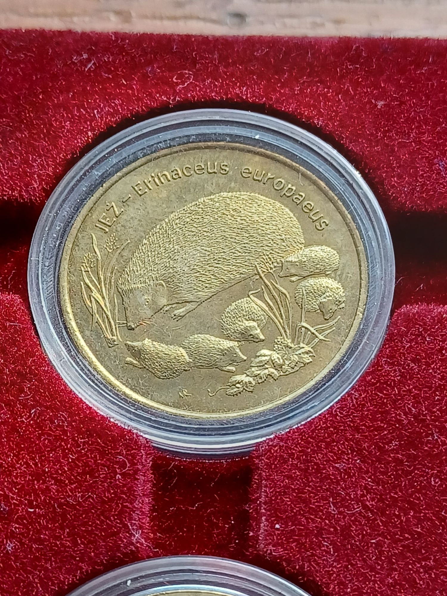 Zestaw monet 2 GN 1996 r Zygmunt August